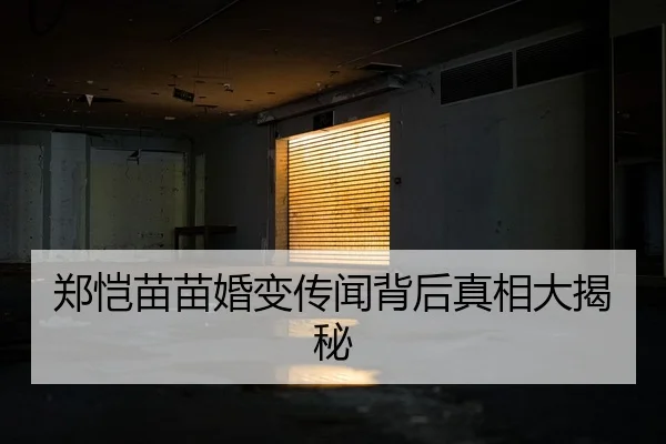 郑恺苗苗婚变传闻背后真相大揭秘
